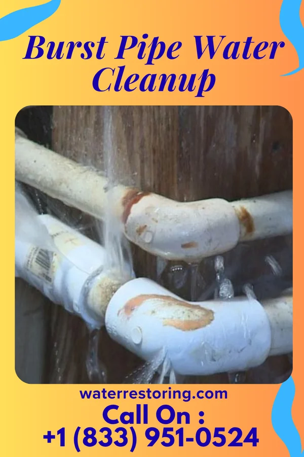 Burst Pipe Water Cleanup in Foley, MO