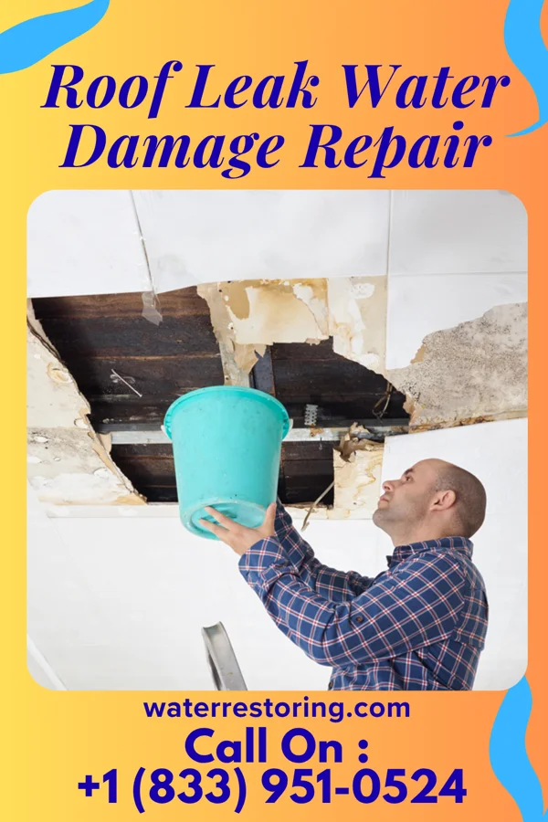 Roof Leak Water Damage Repair in Foley, MO