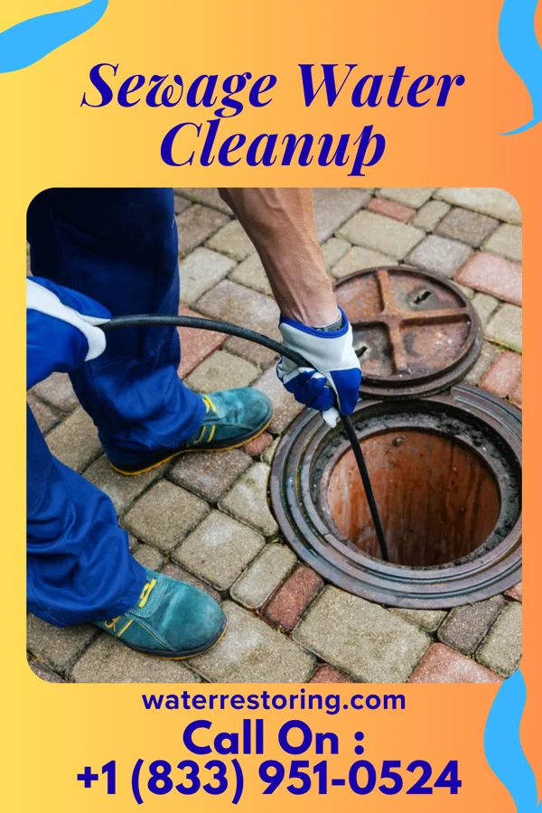 Sewage Water Cleanup in Foley, MO
