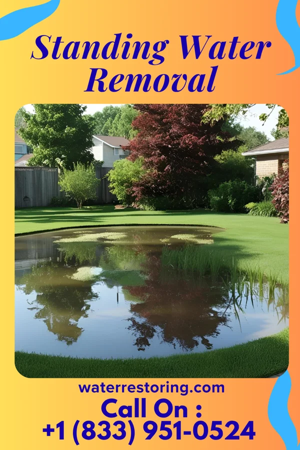 Standing Water Removal in Foley, MO
